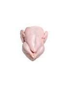 Frozen Chicken